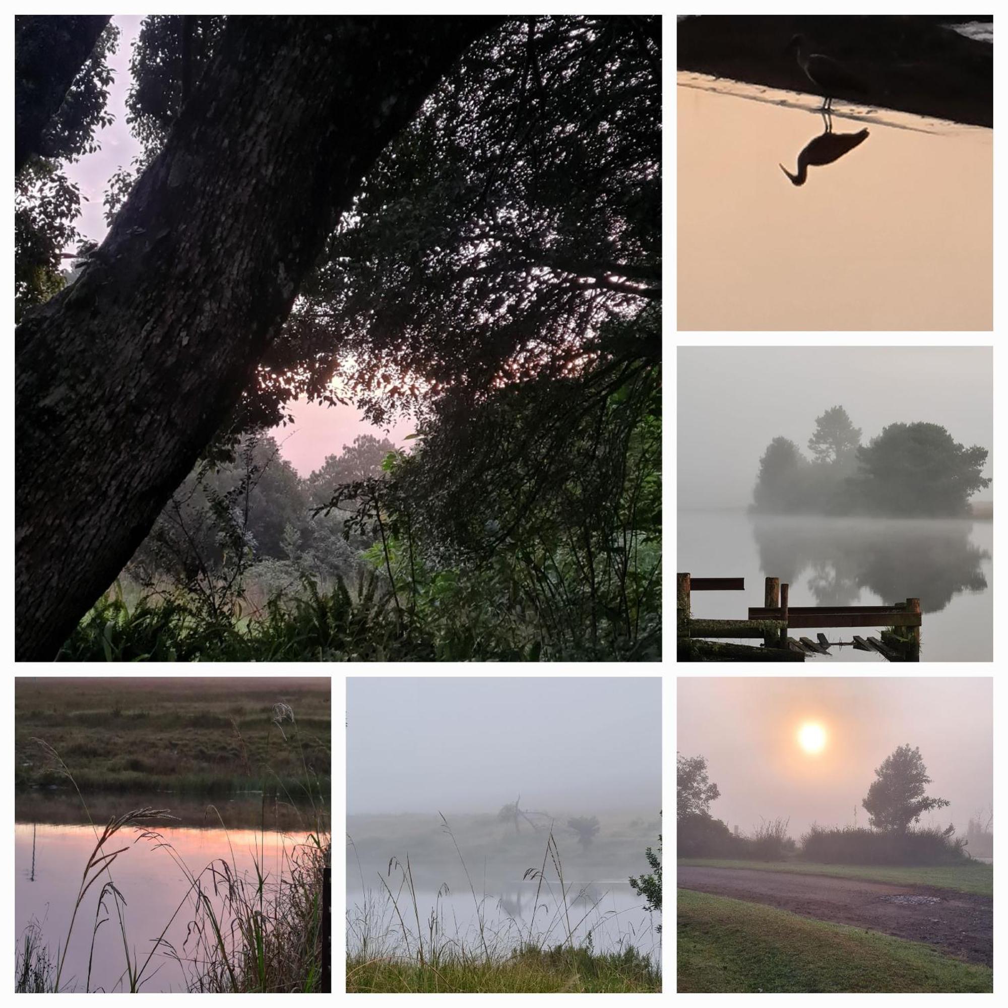 Mosswood Bed & Breakfast กราสคอป ภายนอก รูปภาพ