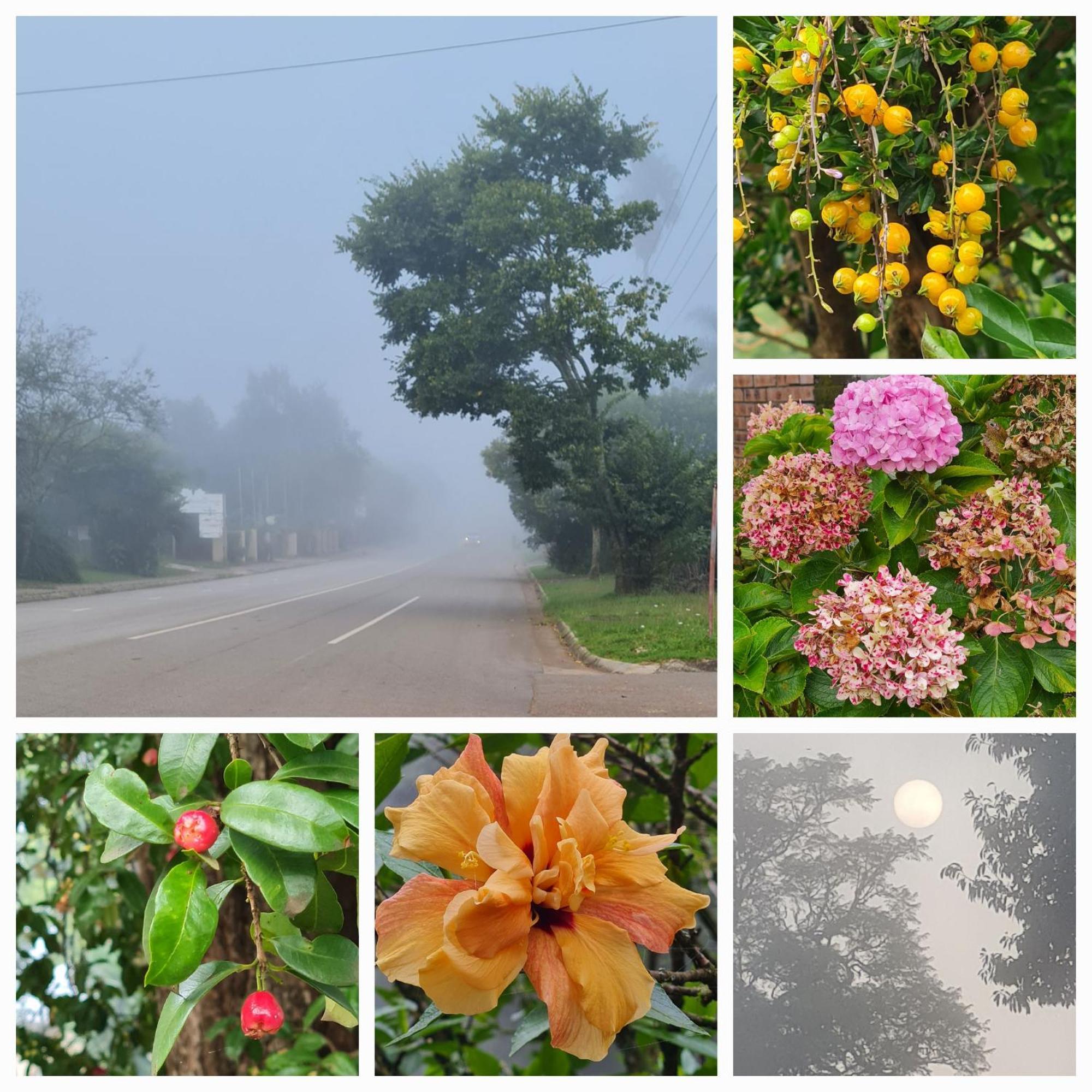 Mosswood Bed & Breakfast กราสคอป ภายนอก รูปภาพ